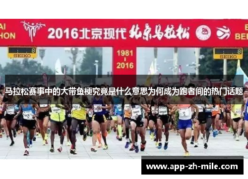 马拉松赛事中的大带鱼梗究竟是什么意思为何成为跑者间的热门话题