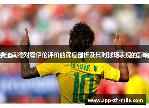 费迪南德对霍伊伦评价的深度剖析及其对球场表现的影响