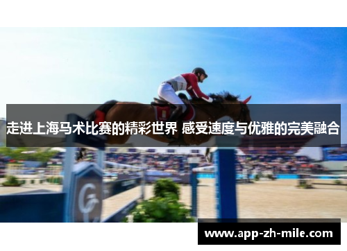 走进上海马术比赛的精彩世界 感受速度与优雅的完美融合