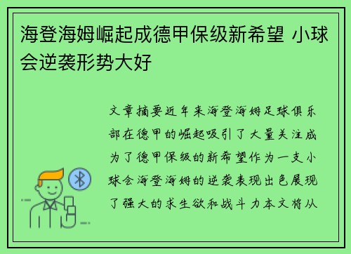 海登海姆崛起成德甲保级新希望 小球会逆袭形势大好